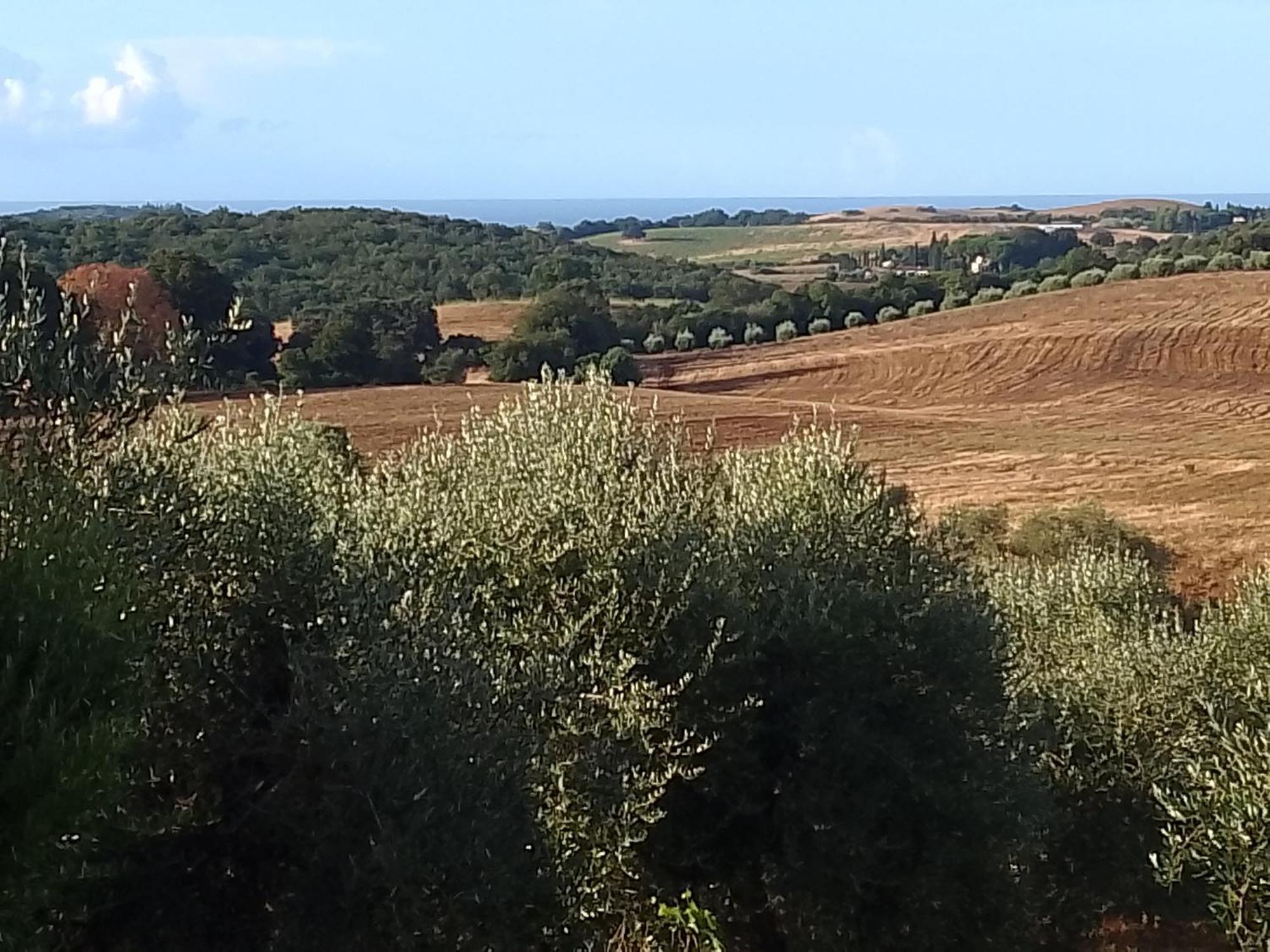 Agriturismo Le Colline Di Capalbio Exteriör bild