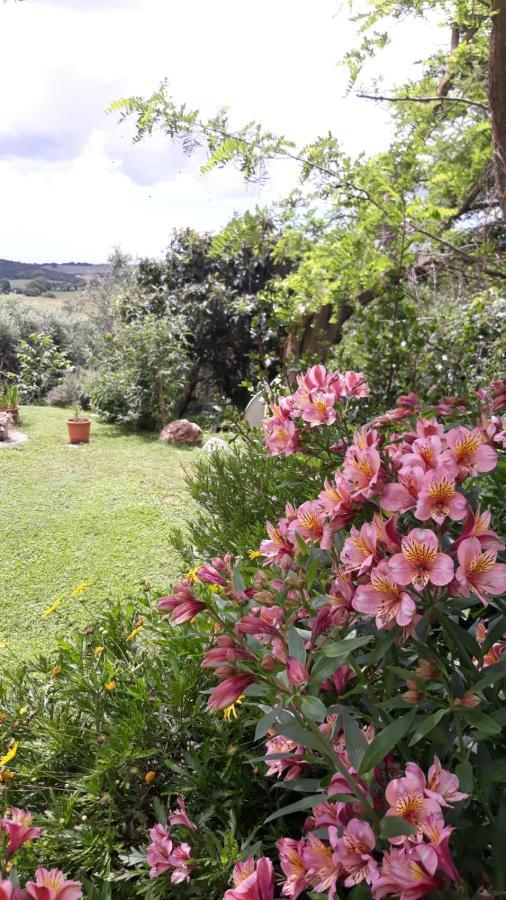 Agriturismo Le Colline Di Capalbio Exteriör bild